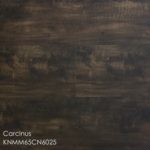 Horizen Flooring presents to you a picture of a 100% waterproof luxury vinyl plank flooring, manufactured by Knoas Flooring. Color: Carcinus.