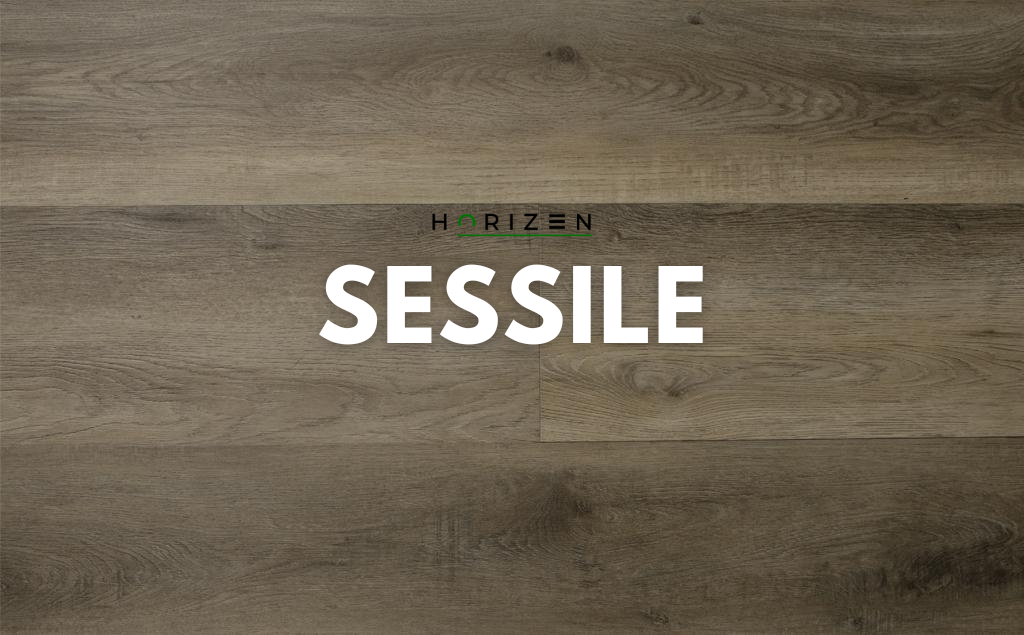 Horizen Flooring presents to you a picture of a quality wide plank Sessile luxury vinyl plank. NovoCore Premium EIR collection features a wide range of colors & designs that will compliment any interior. Natural wood grain synchronized surface allow for an authentic hardwood look & feel. This collection features a 0.25″ / 6.5 mm overall thickness and a durable 22 mil / 0.55 mm wear layer for residential and commercial applications.
